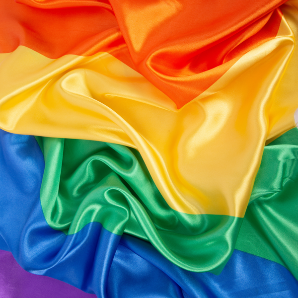 BANDERA LGTBIQA+